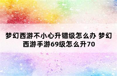 梦幻西游不小心升错级怎么办 梦幻西游手游69级怎么升70